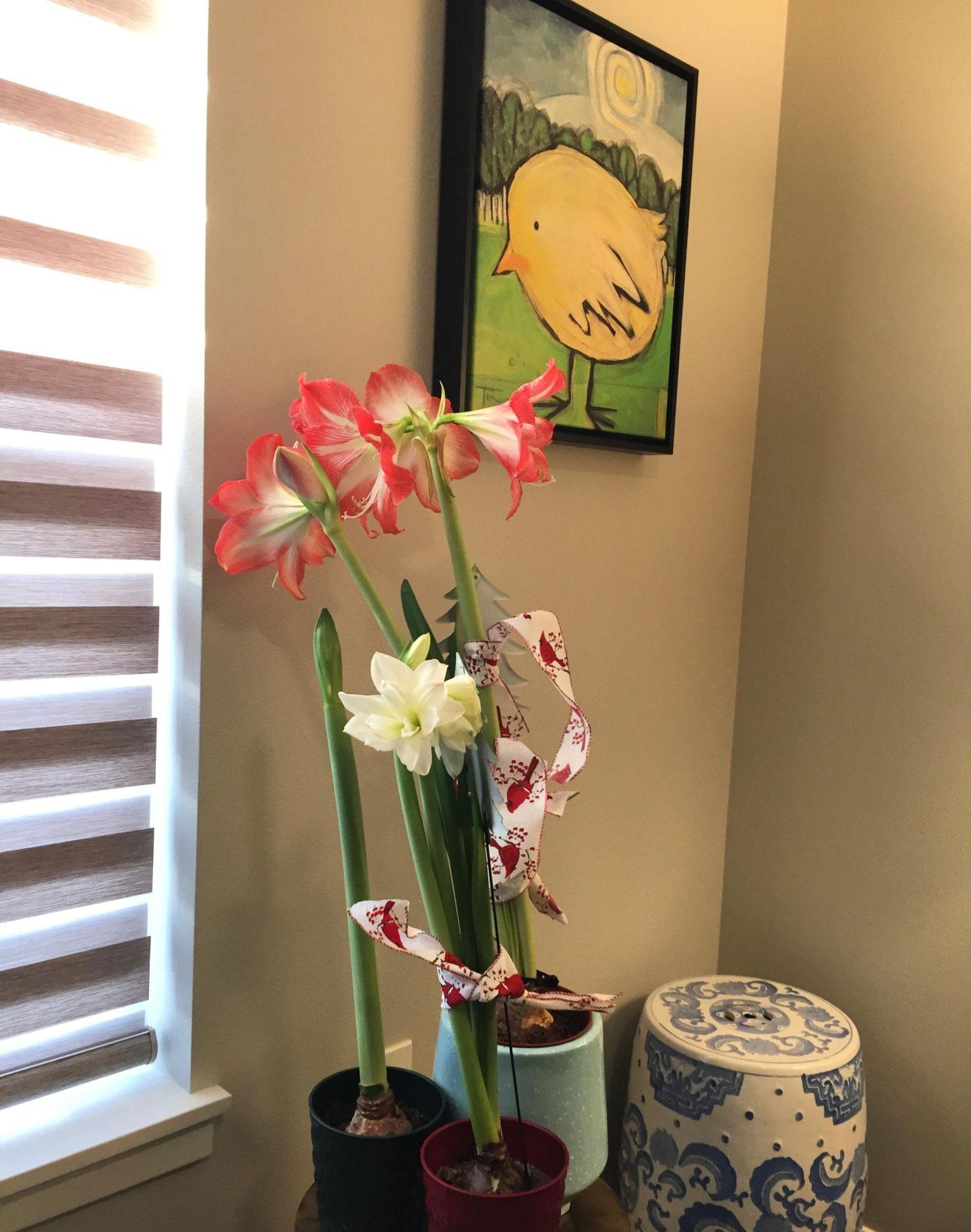 The Flowers Are Doing Well