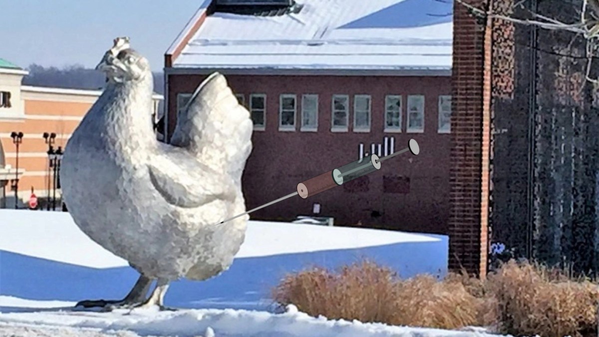 Get Ready to Vaccinate Your&nbsp;Chickens!