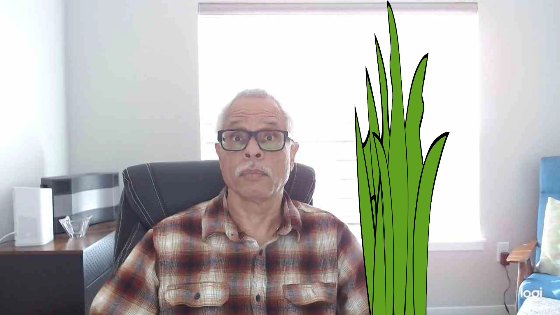 Red Green Show Episode: “Coup De Grass”