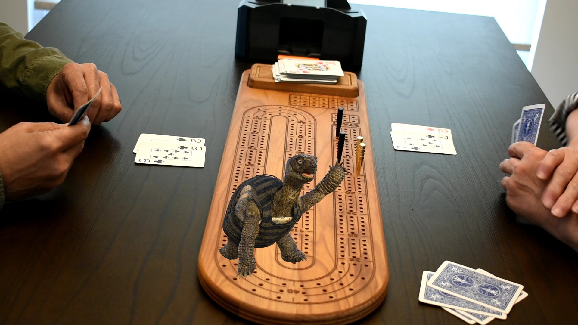 How Cribbage Tournaments Deal with Slow Players