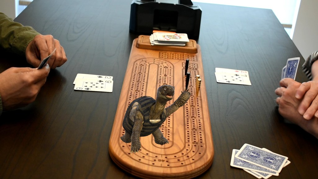 Cribbage for Turtles!