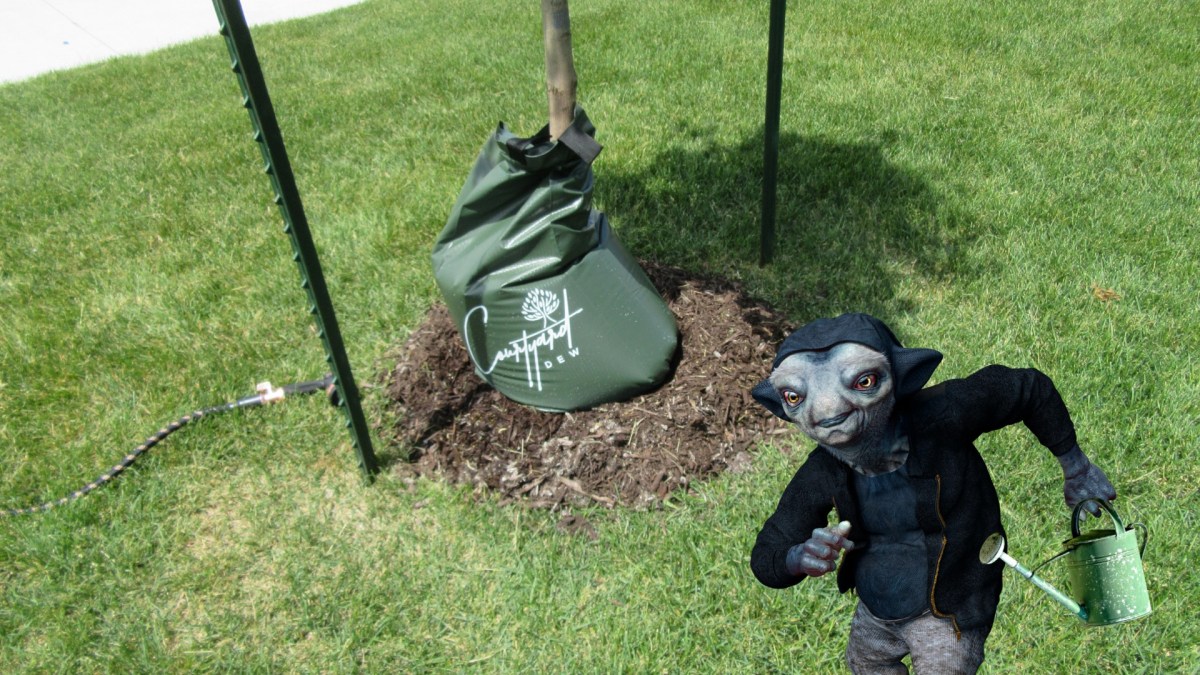 What’s Up with Tree&nbsp;Bags?