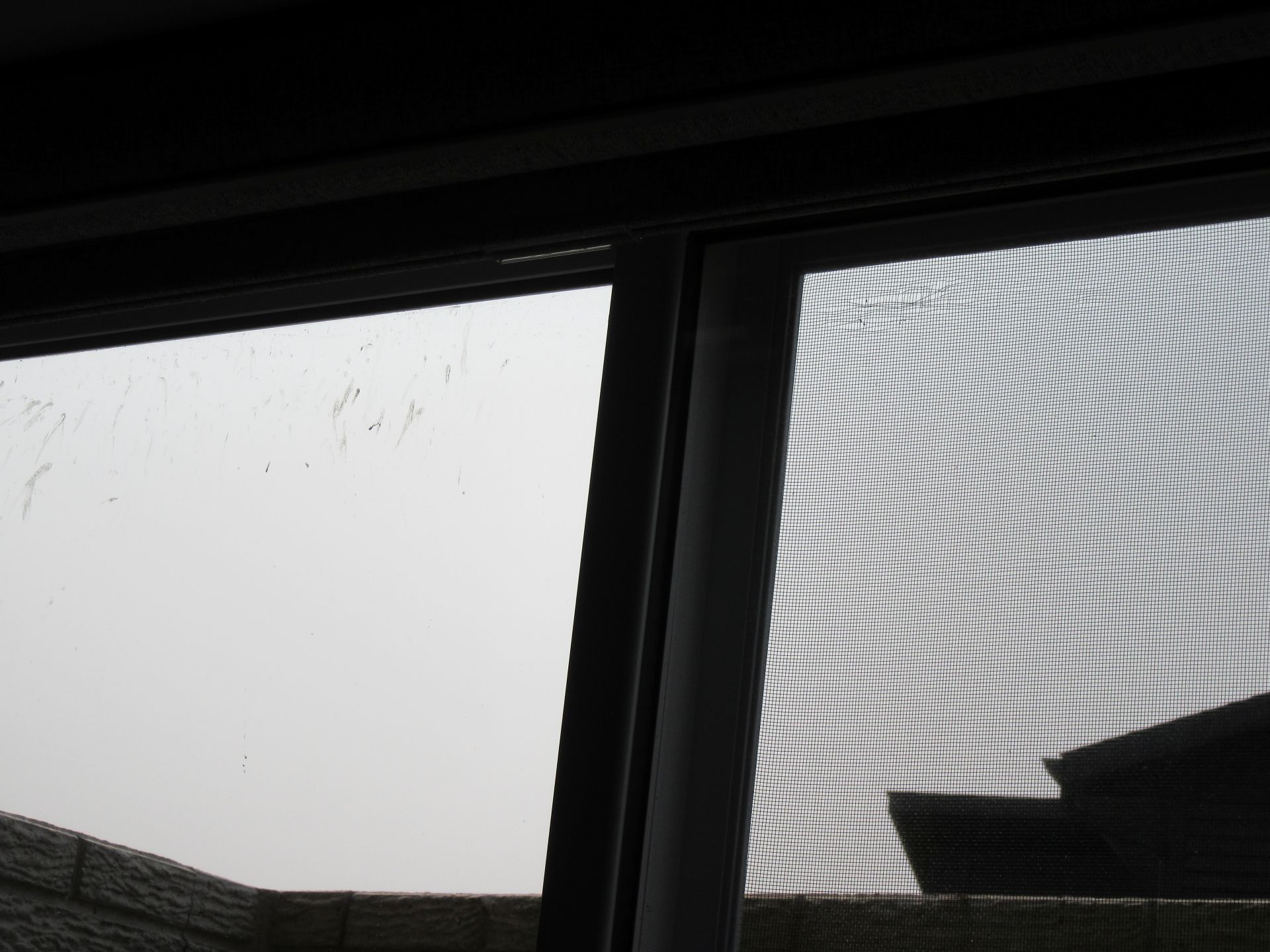 Pecking Windows The Window Hating Demonic Robin! – Go Retire Psychiatrist