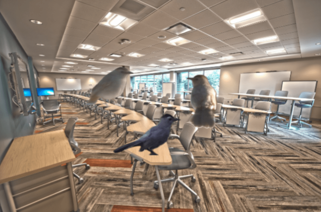 Don’t Sit for Too Long in the Catbird&nbsp;Seat!