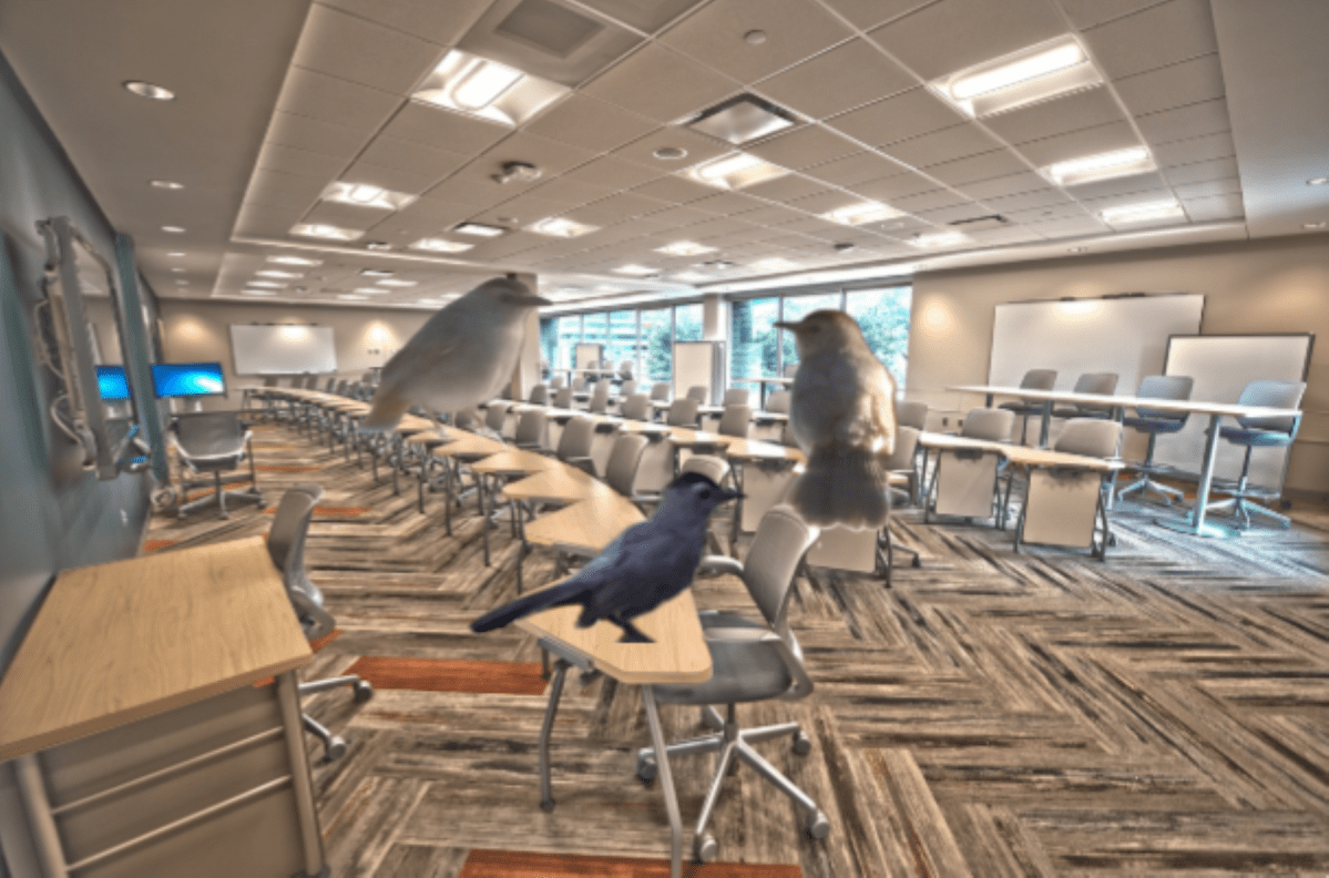 Don’t Sit for Too Long in the Catbird&nbsp;Seat!