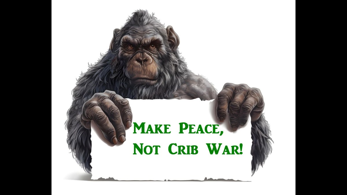 Crib Wars: The King of Calvinball&nbsp;Crib!