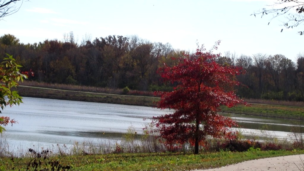 Autumn is the Time to Slow&nbsp;Down