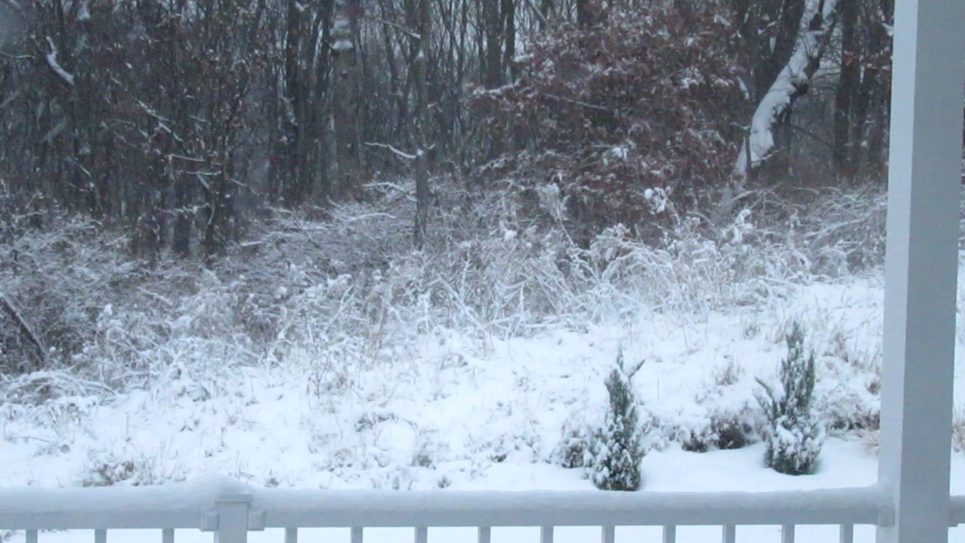 Snow Squalls Predicted in Iowa&nbsp;Today!