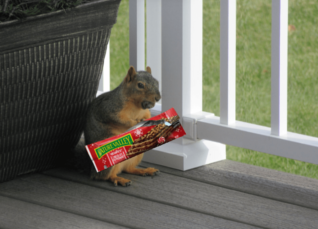 What Wildlife Does Not Know About Nature Valley Snack&nbsp;Bars