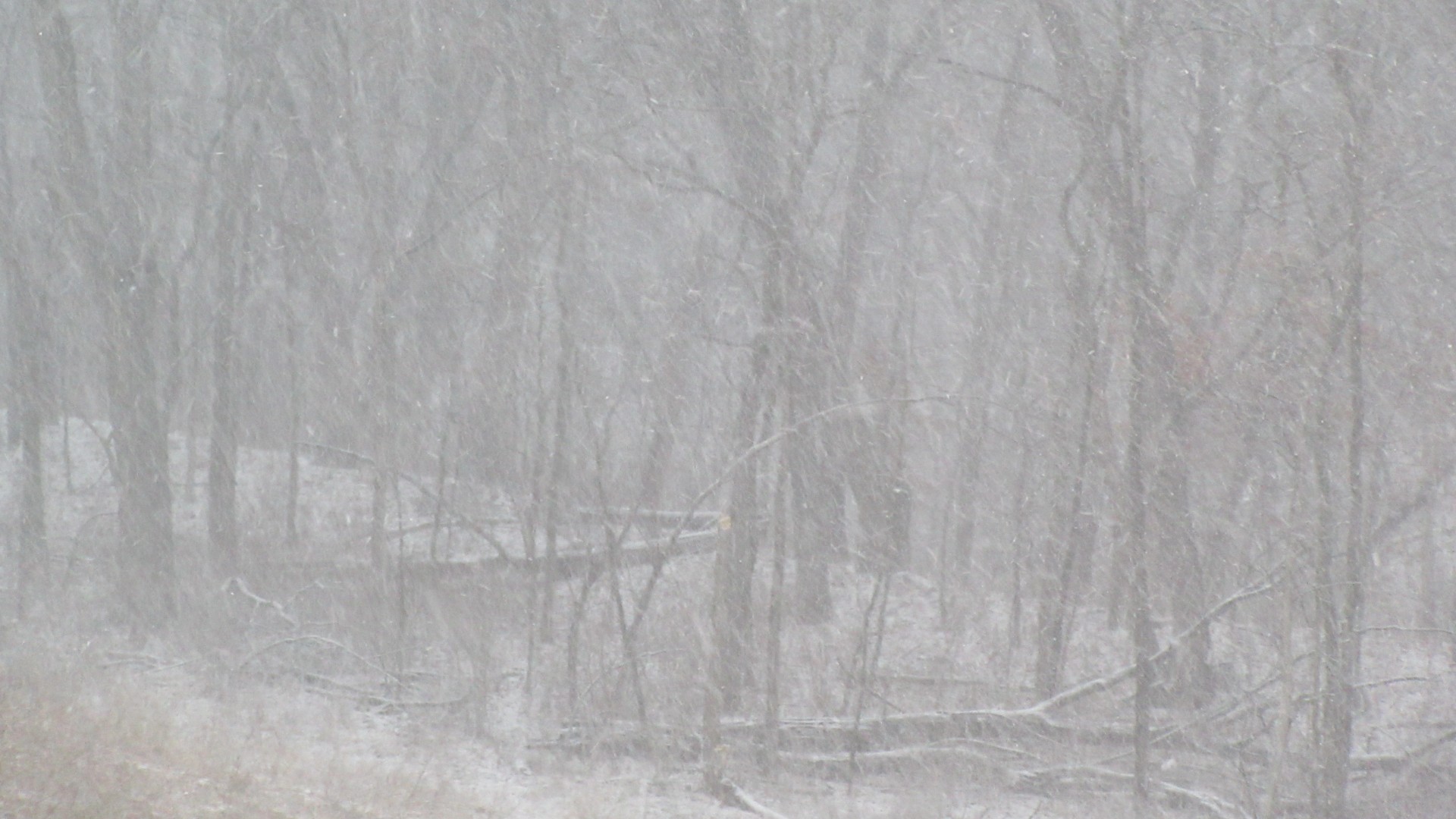Iowa Blizzard Update!
