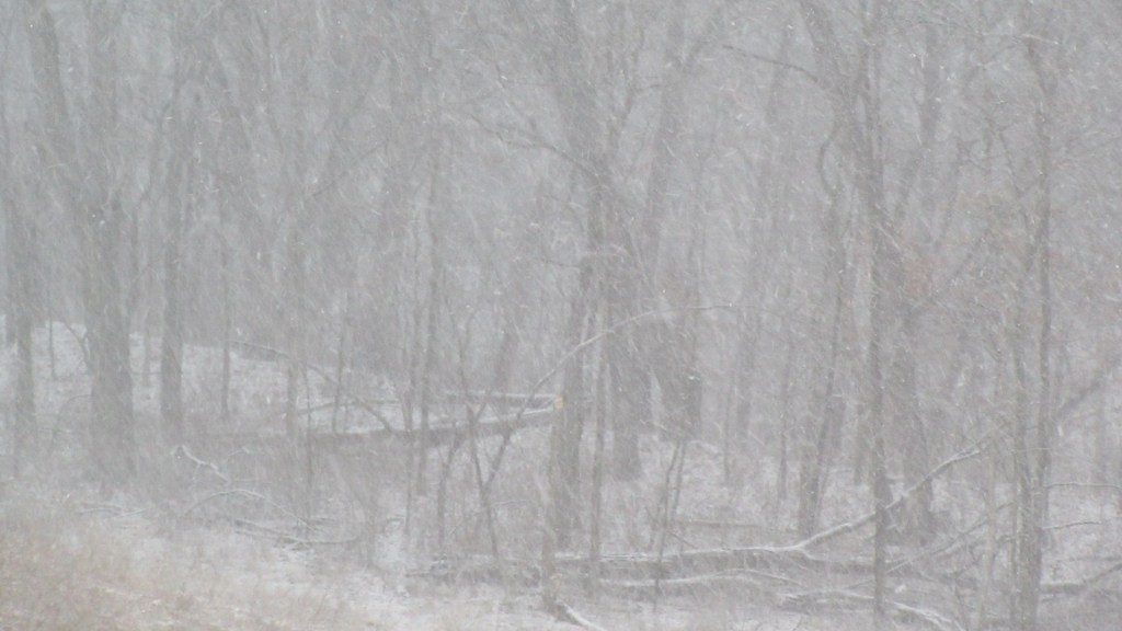 Iowa Blizzard Update!