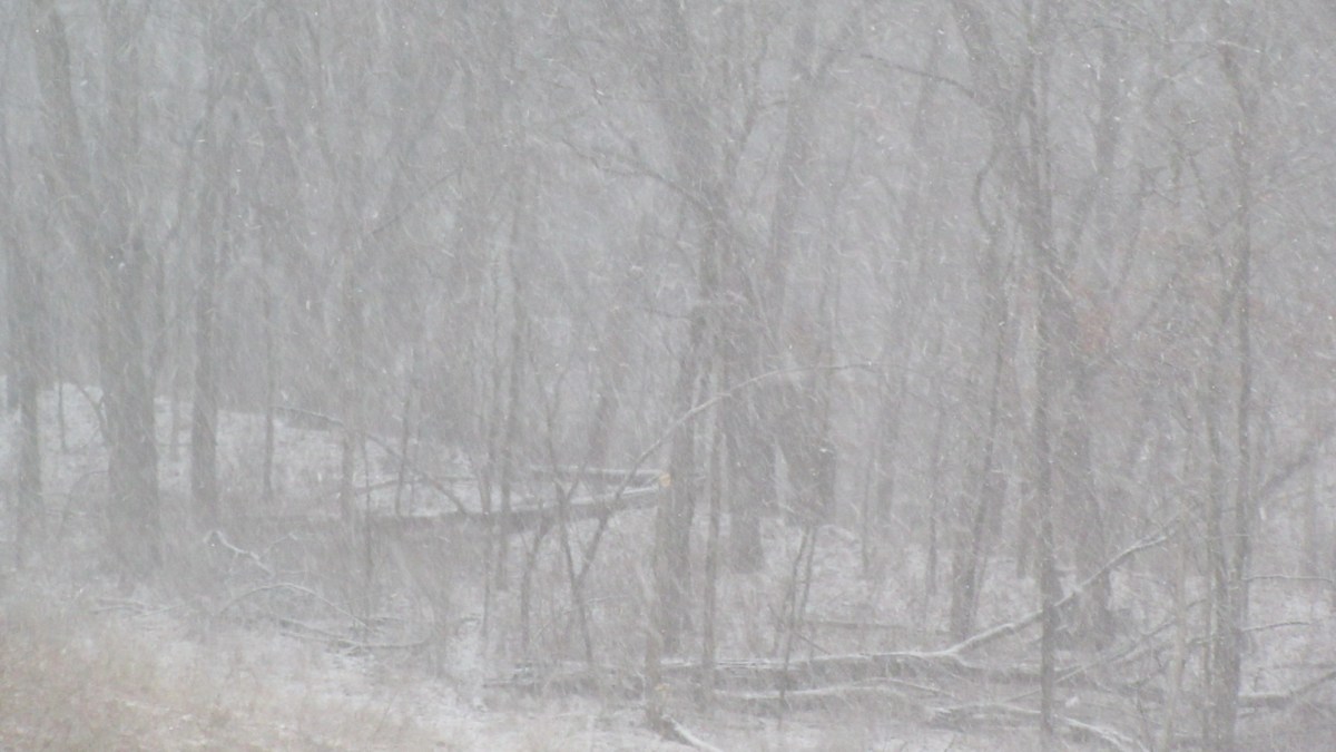 Iowa Blizzard Update!