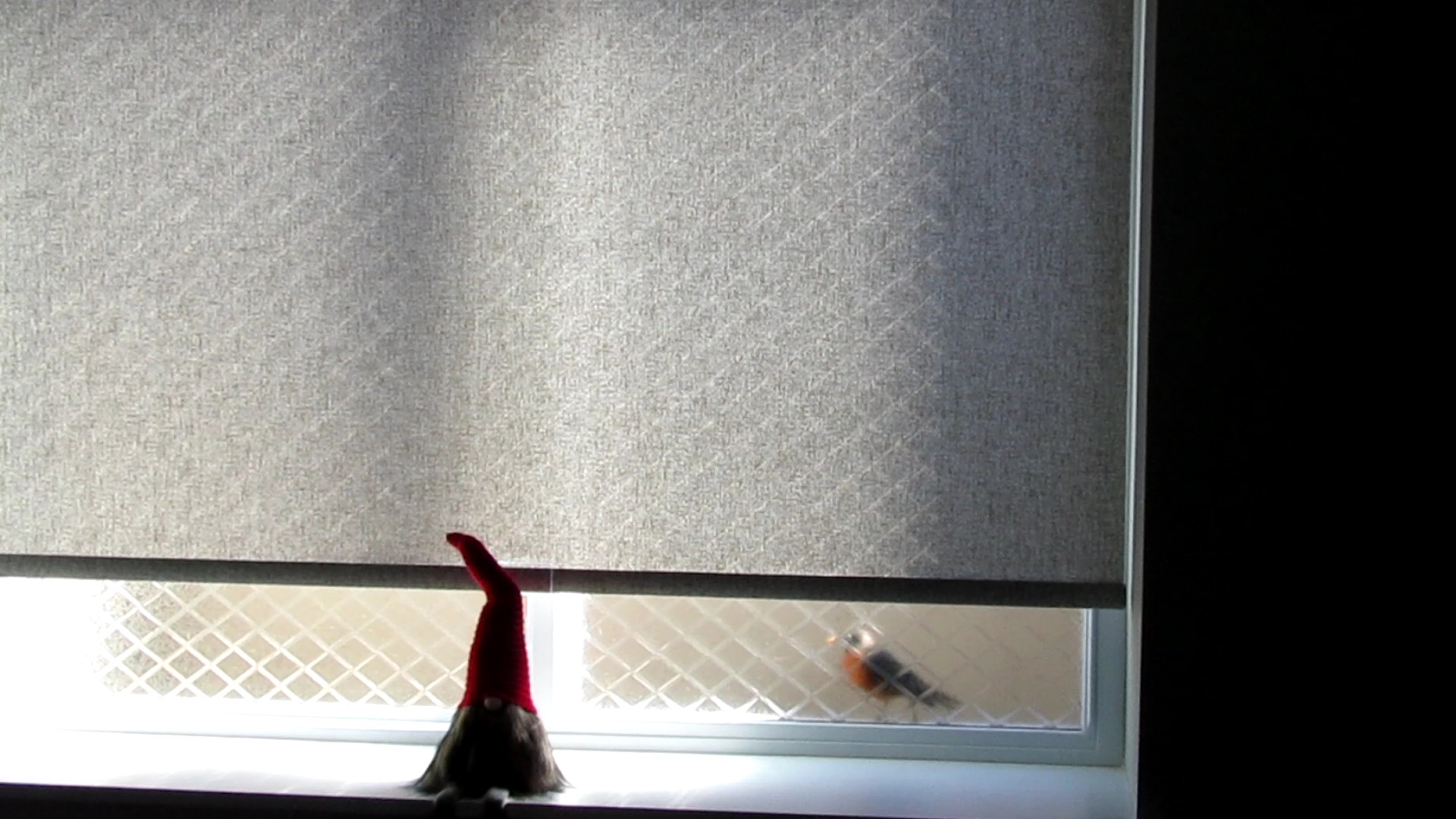 That Pecking Robin is Back Again!