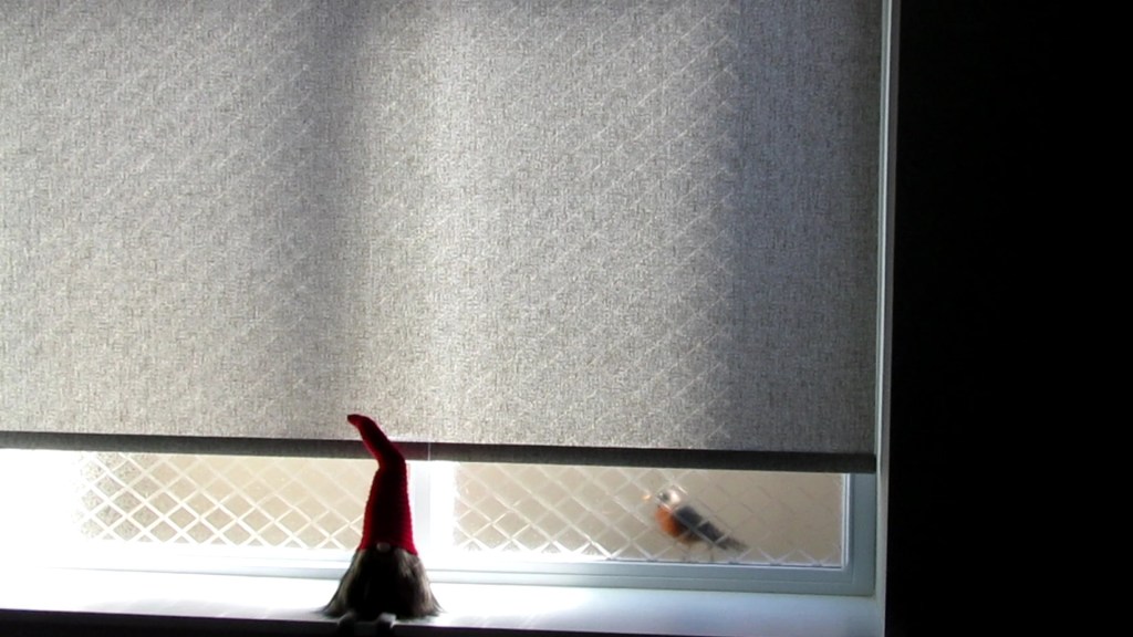 That Pecking Robin is Back&nbsp;Again!