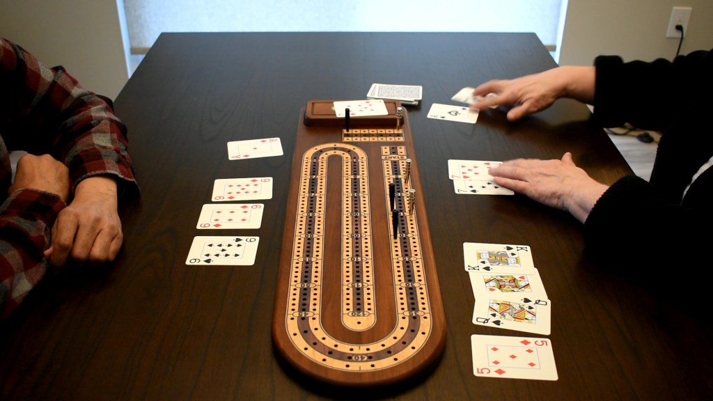 Who is Stupider in Cribbage: AI or&nbsp;You?