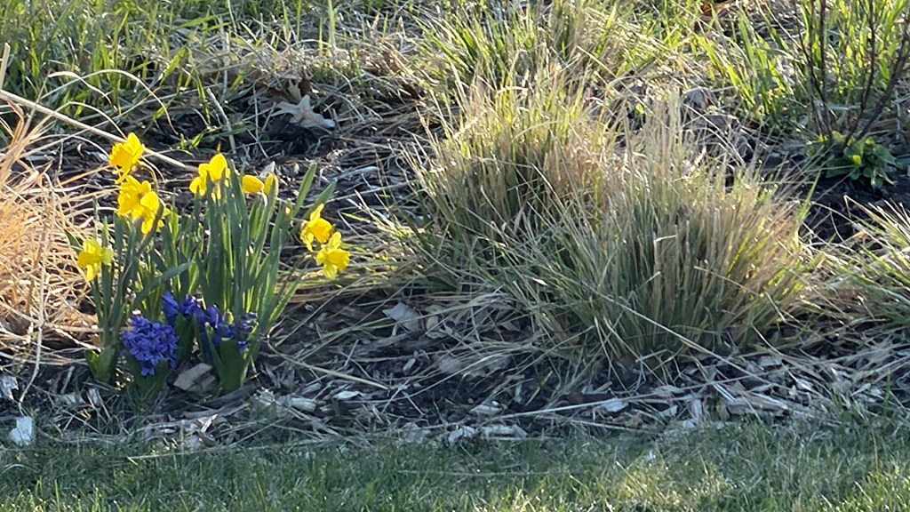 Easter Monday Flowers