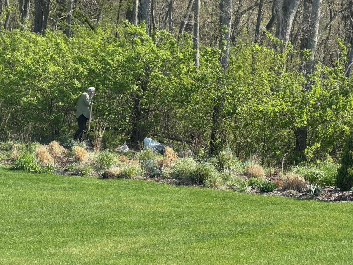 Sena’s Out in the Garden on Earth&nbsp;Day!