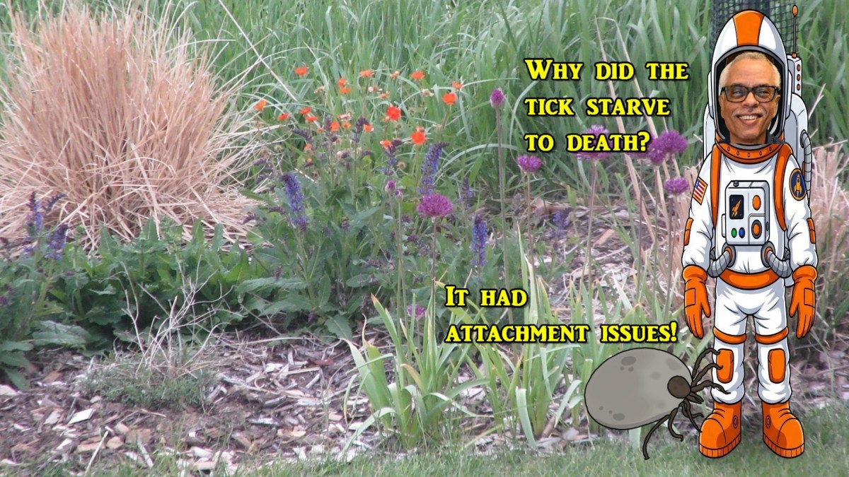 Ticks Among Us
