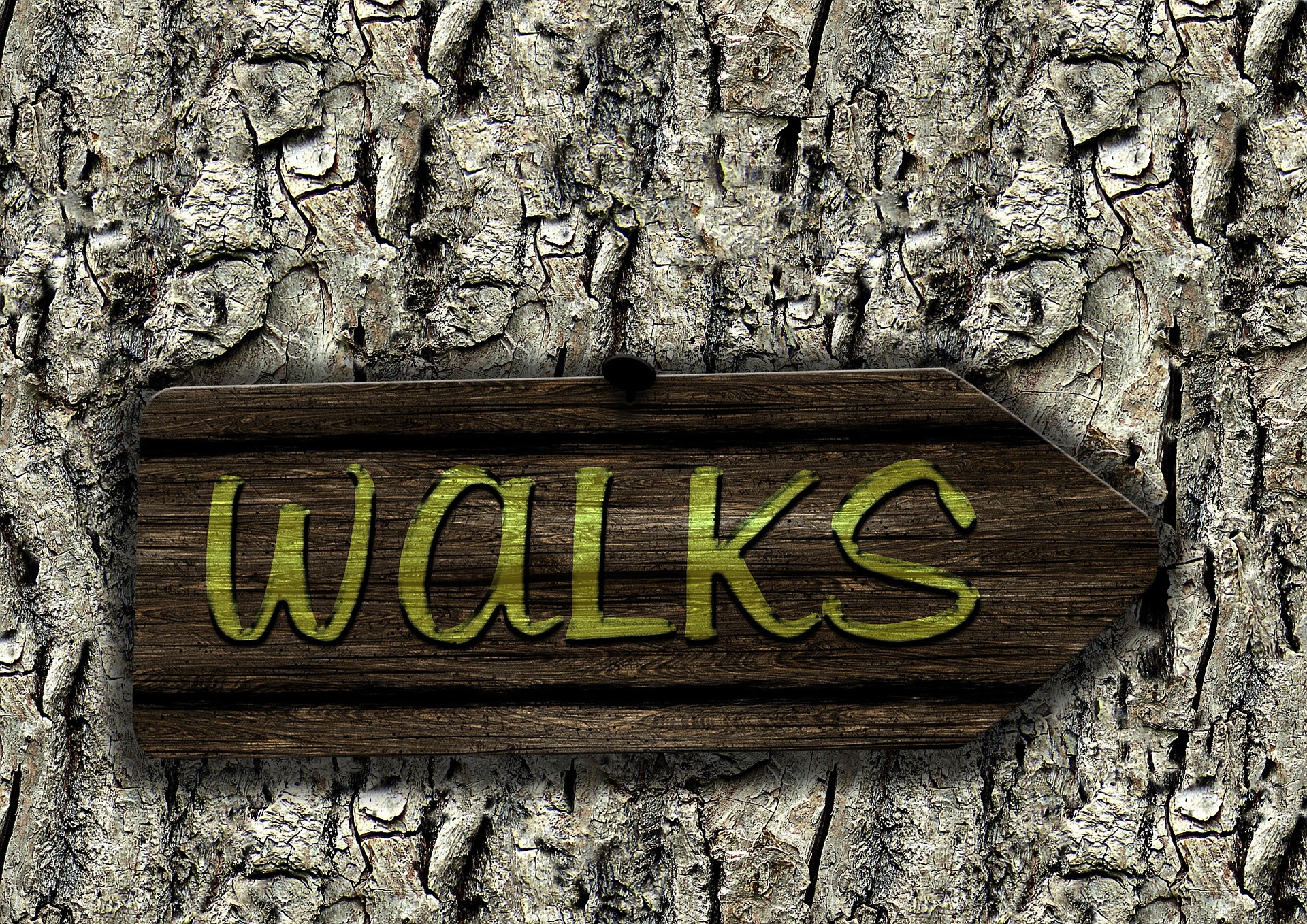 Mall Walking Reblog!