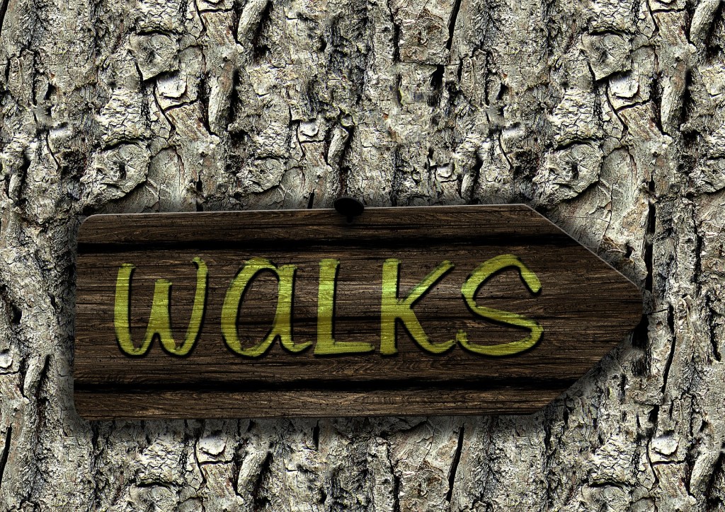 Mall Walking Reblog!