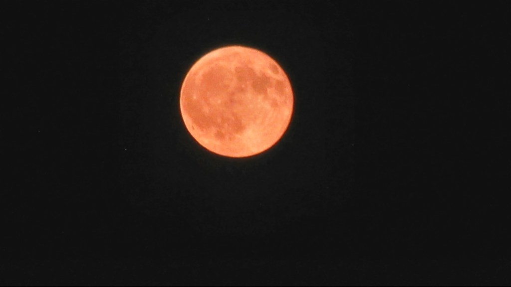 The Buck Moon & Buck Rogers July 2026