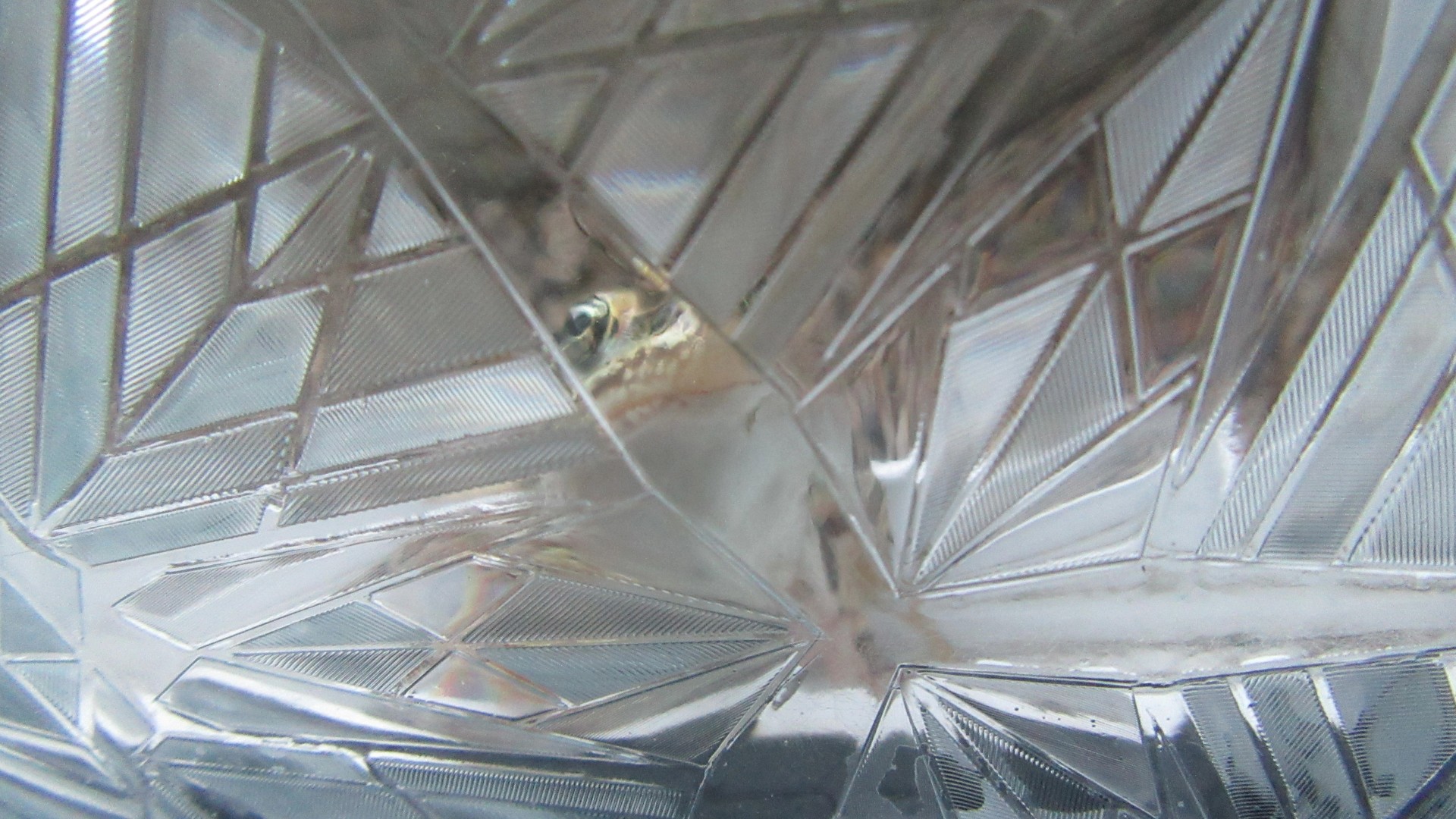 The Celebrated Little Jumping Frog of Johnson County and More Pareidolia!