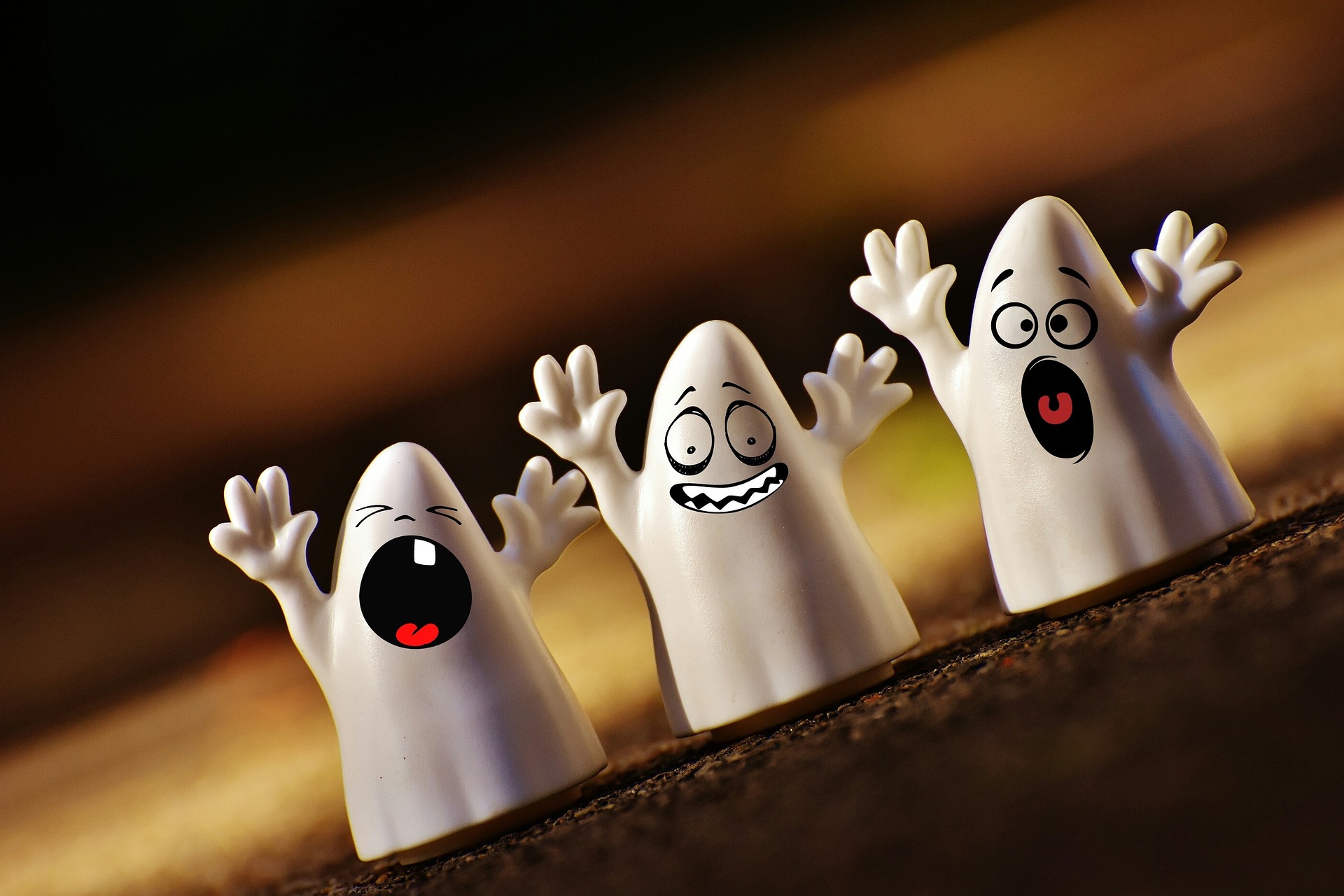 Today is National Ghost Hunting Day!