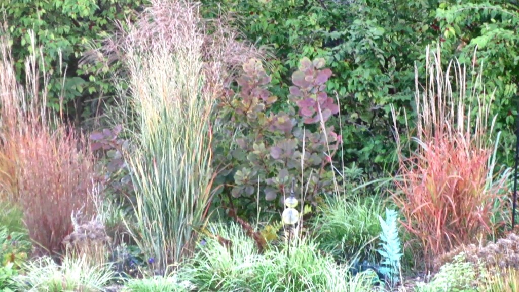 Autumn in Red