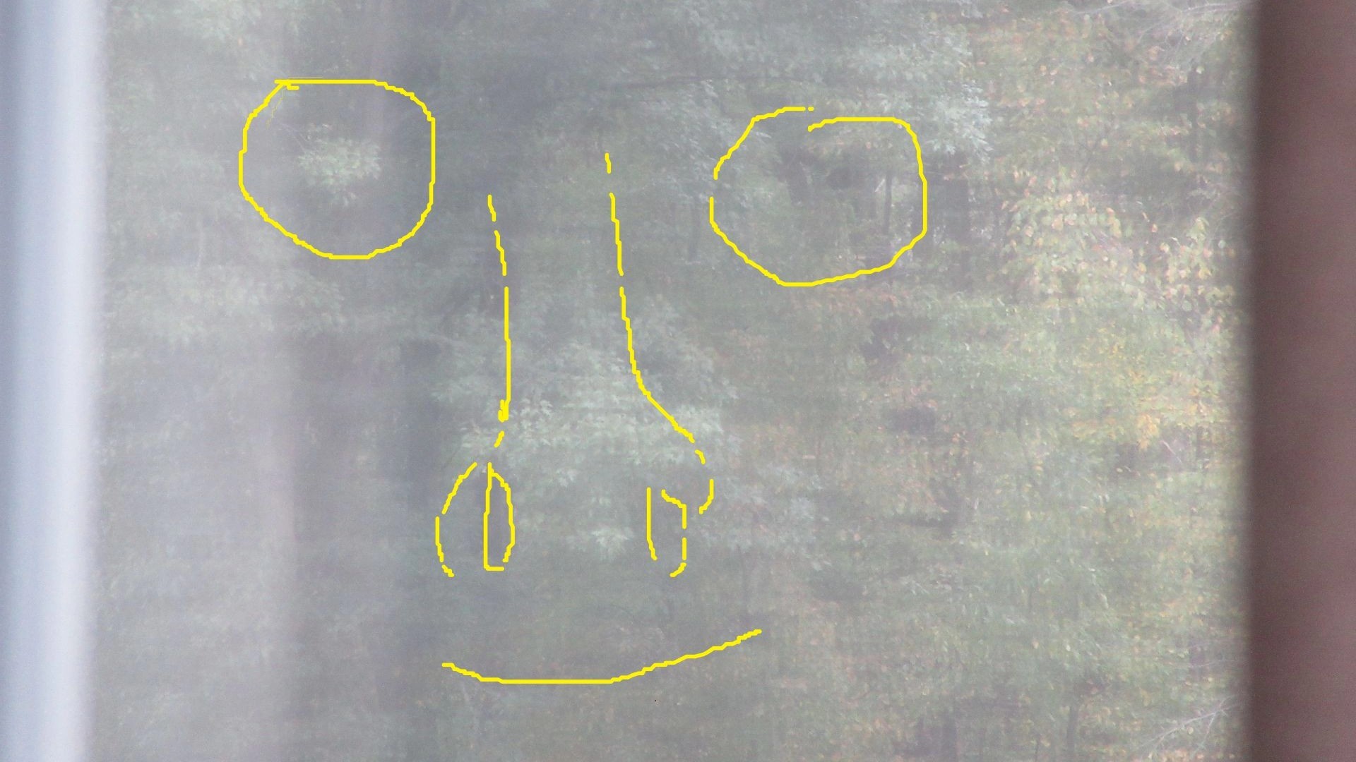 Paranormal vs Pareidolia