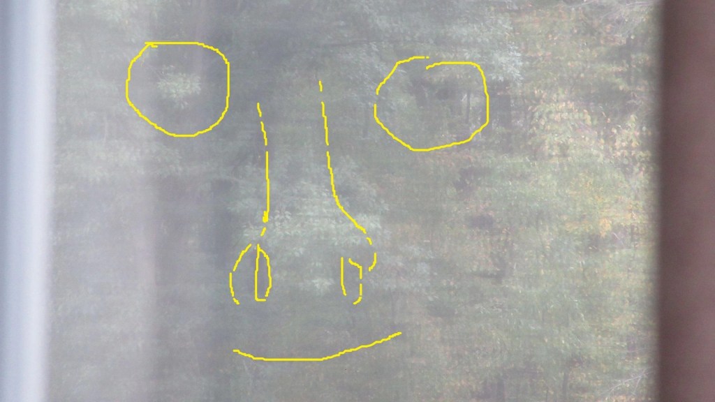 Paranormal vs Pareidolia