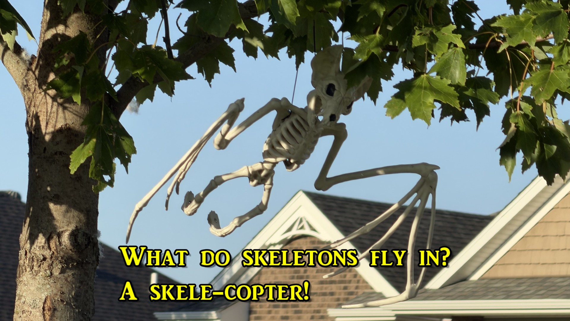 Halloween Skeleton Jokes!