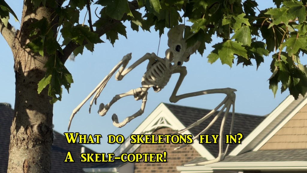 Halloween Skeleton Jokes!