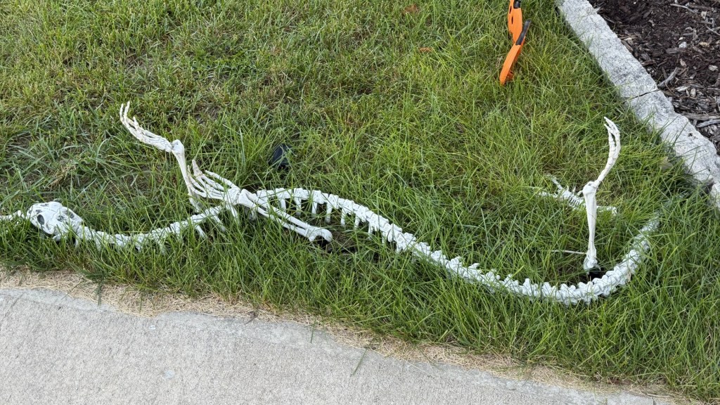Halloween Skeleton Snake&nbsp;Jokes!